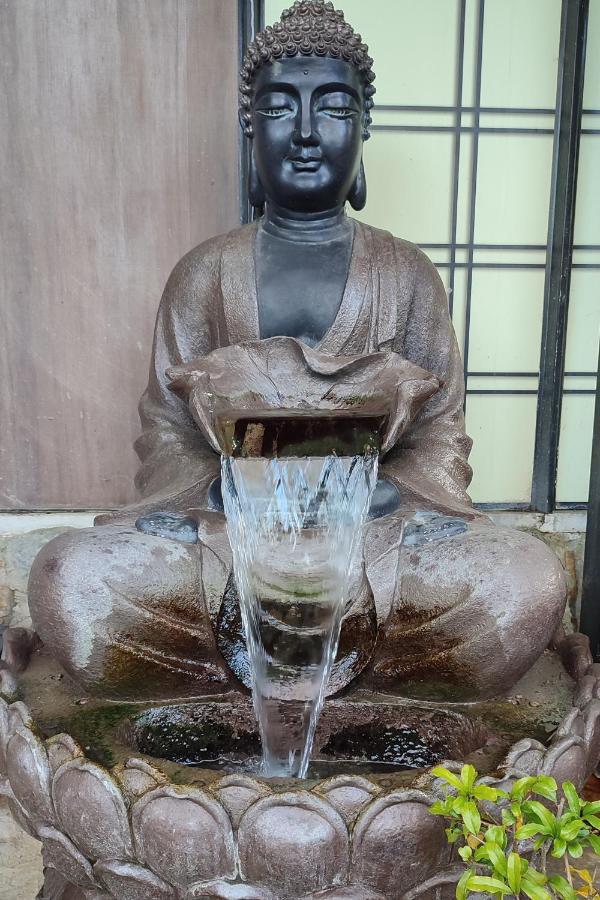 Zen Guest House - Museu Do Bonsai シントラ エクステリア 写真