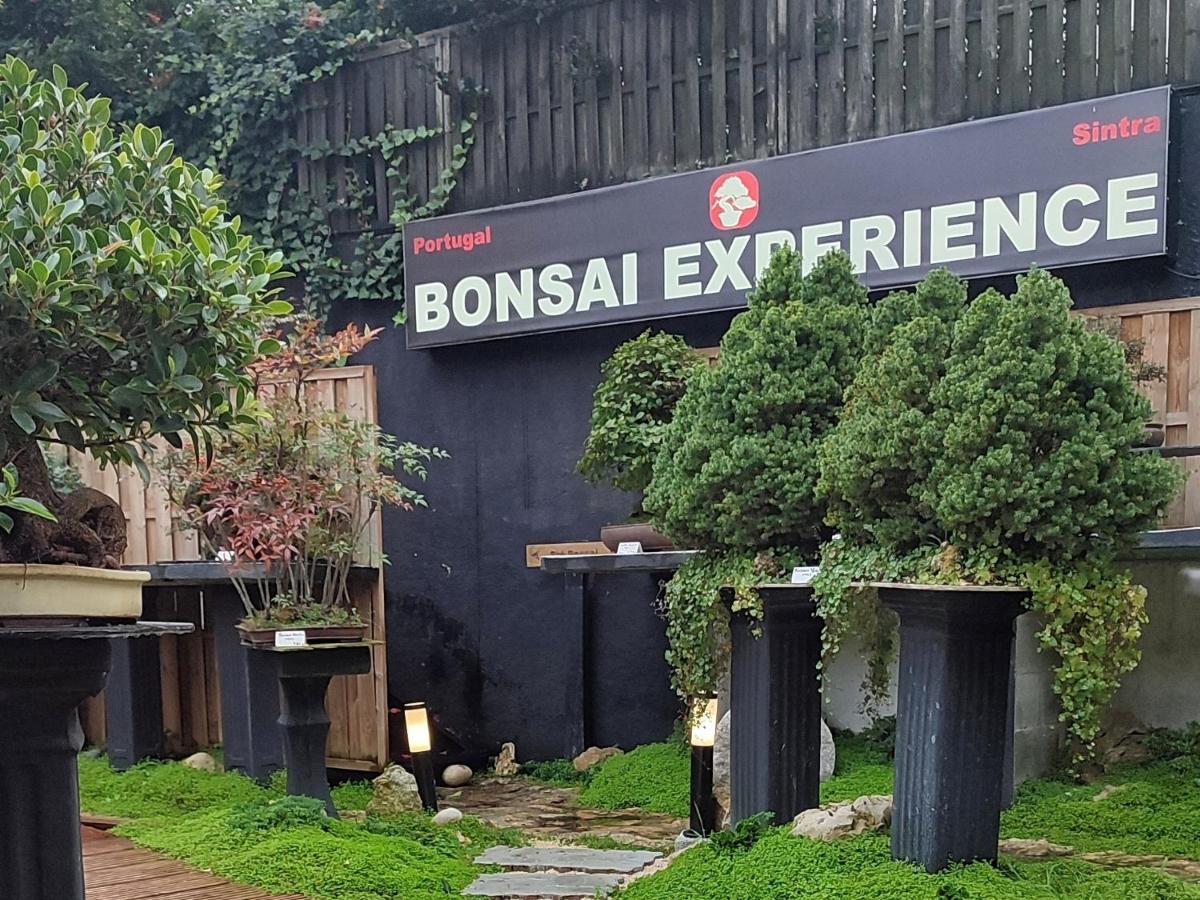 Zen Guest House - Museu Do Bonsai シントラ エクステリア 写真